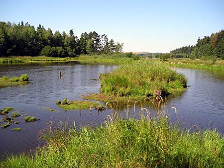 Matjovsk rybnk