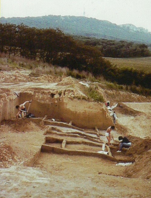 ARCHEOLOGICK NLEZIT DOLN VSTONICE (NKP)